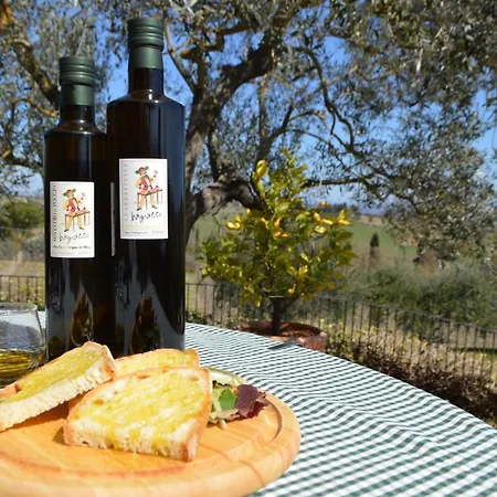 Farm stay Tenuta Guardastelle - And Vineyard